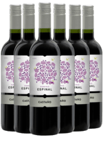 Castaño Dominio Espinal Monastrell – Yecla - Næstved Vinkompagni