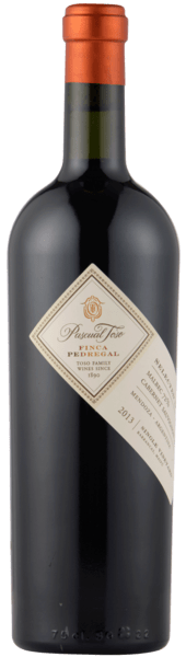 Pascual Toso Single Vineyard Finca Pedregal argentinsk rødvin
