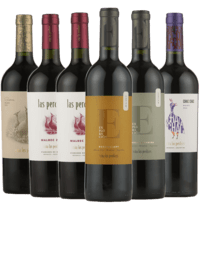 Argentina smagekasse med 5 Malbec-vine