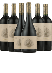Argentina smagekasse 3 forskellige vine fra Estate Reserva serien
