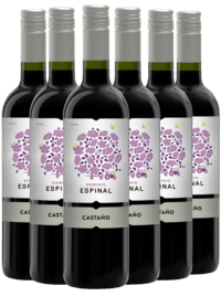 Castaño Dominio Espinal Monastrell – Yecla - Næstved Vinkompagni